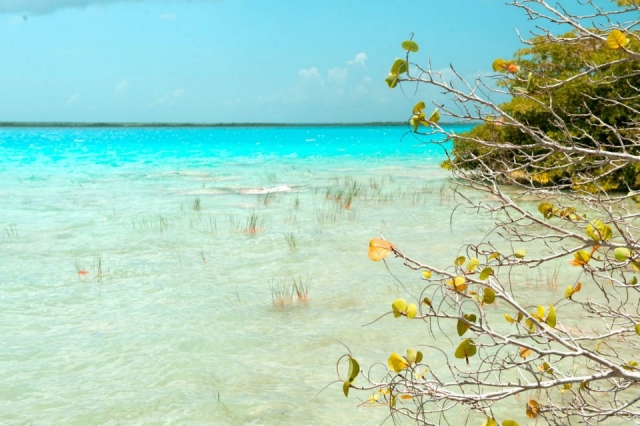 Laguna Bacalar
